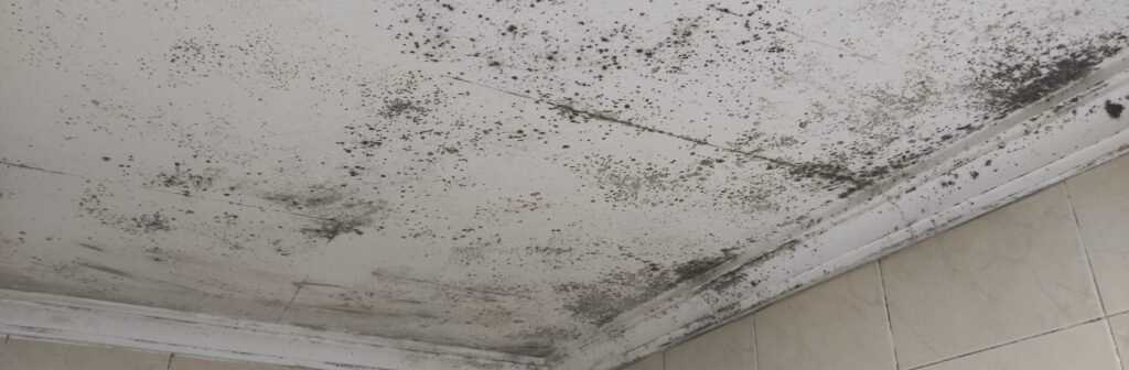 Manchas de humedad por condensación en un techo de una casa en Almería