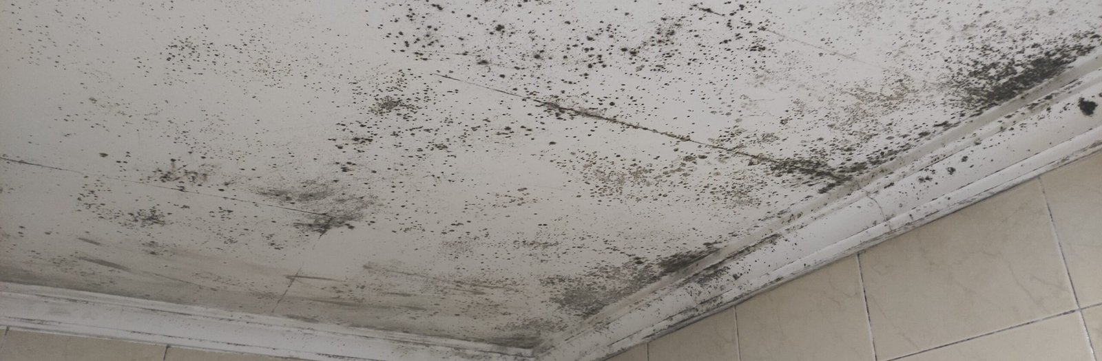 Humedad por condensación